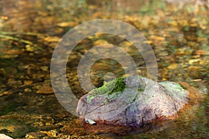 Stone with moss on the river