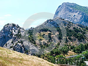 Stone mountain with abundant lush greenery in bright daylight.