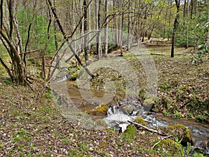 Stone Mountain Creek in North Carolina