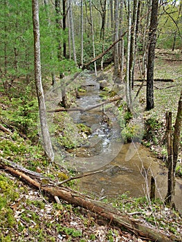 Stone Mountain Creek in North Carolina