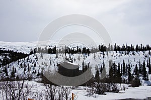 Stone Mountain Provencial Park, British Columbia, Canada