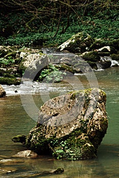 A stone in a mountain river. Beautiful landscape