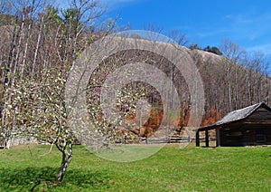 Stone Mountain State Park