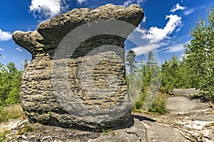 Stone mushroom