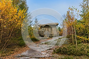 Stone mushroom in Adrspach-Teplice Nature park in Czech