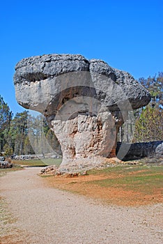 Stone mushroom in Enchanted City