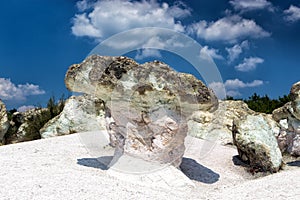 The Stone Mushrooms in Bulgaria