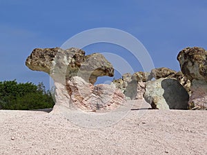 Stone Mushrooms natural wonder site