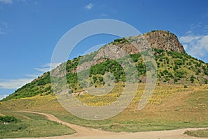 Stone Olgoj Chorchoj - Ilia -Romania