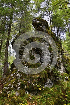 Stone outlier on the slope of the right bank of the Usva River along the route to the Stolby stone