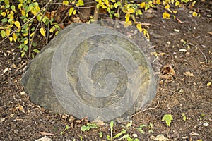 Stone in the park. A large boulder is embedded in the ground. Landscaping.