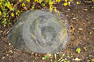 Stone in the park. A large boulder is embedded in the ground. Landscaping.