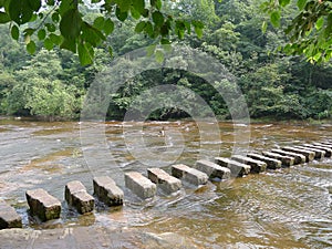 Stone path