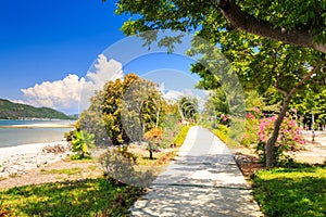 Stone path along sea beach among bushes plants