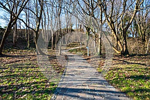 Stone path in the autumn forest