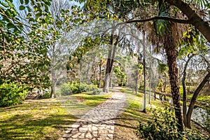 Stone path in beautiful Buen Retiro park in Madrid