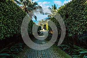 Stone path in a beautiful tropical garden by the sea. Tropical vacation