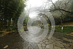 stone path in botanical garden