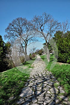 Stone path in the city park