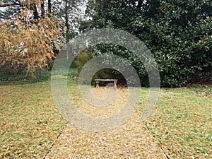 Stone path covered in brown pine needles and bench and grass