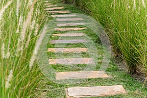 Stone path in the flowers grass field on beautiful sunshine day