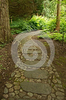 Stone path through the forest photo