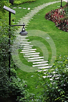 Stone path in garden