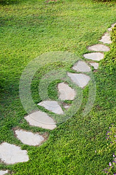 Stone path in garden among green lawn. Grass growing up between and around stones