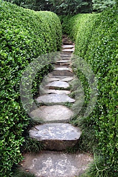 Stone path in a garden setting