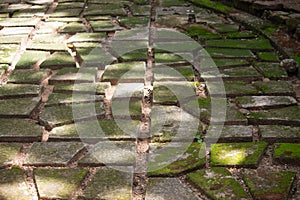 Stone path. garden path of stones overgrown with moss