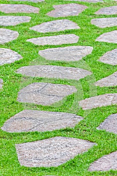 Stone path on green grass