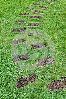 Stone path on green grass