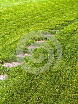 Stone path through a green grassy lawn
