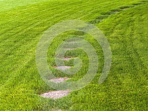 Stone path through a green grassy lawn