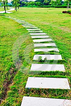 Stone path on green lawn