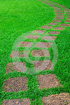 Stone path in the infield grass photo