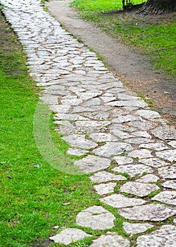 Stone path in landscaped garden with green summer grass