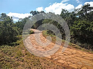 Stone path in the park.