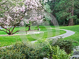 Stone path through park in spring