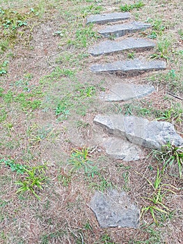 Stone path  Sparse grass Abstract Background