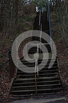Stone Path Steps With Forest Trees Each Side Bright View