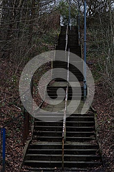 Stone Path Steps With Forest Trees Each Side