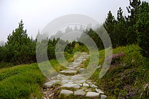 Stone path in Tatra mountains