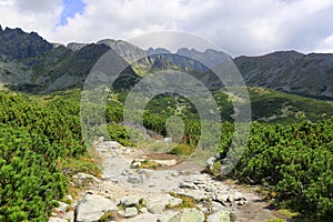 Stone path to mountain top in Tatras