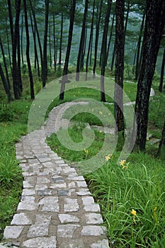 Stone path to a valley