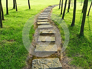 Stone path with trees photo