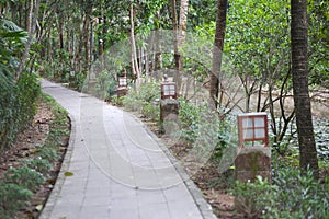 Stone path for walks in the park