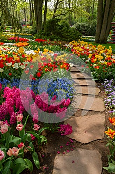 Stone path winding in a garden