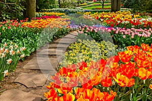 Stone path winding in a garden