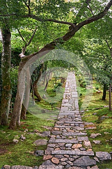 The stone paths under the maple trees in the beautiful garden of Kyoto. Japan